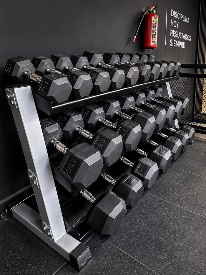 Mancuernas hasta el fondo — Power Fit Gym